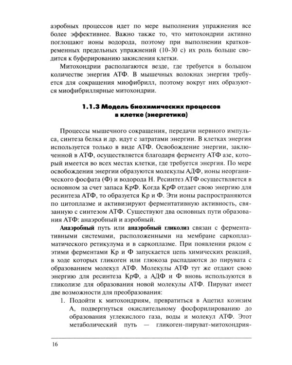Физическая подготовка единоборцев (самбо и дзюдо): теоретико-практические рекомендации