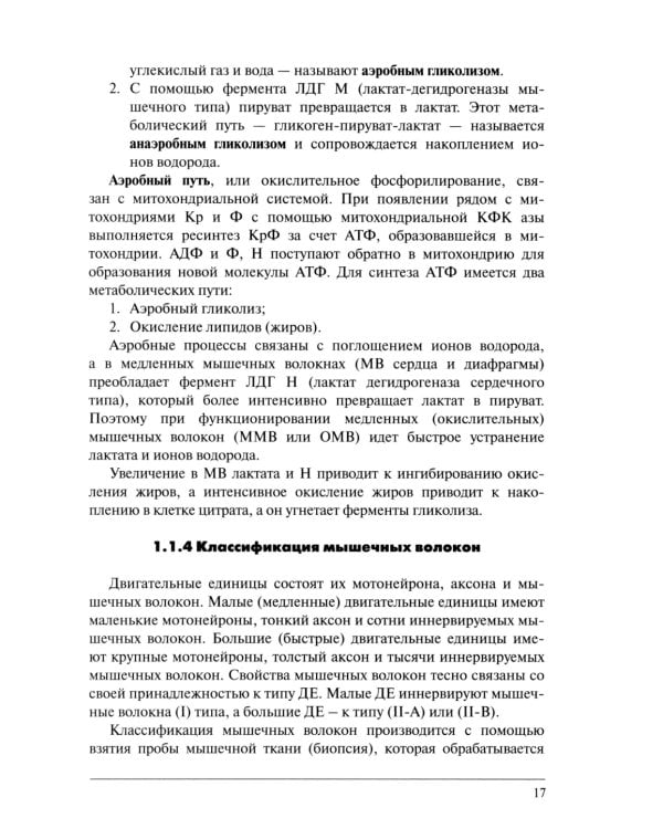 Физическая подготовка единоборцев (самбо и дзюдо): теоретико-практические рекомендации