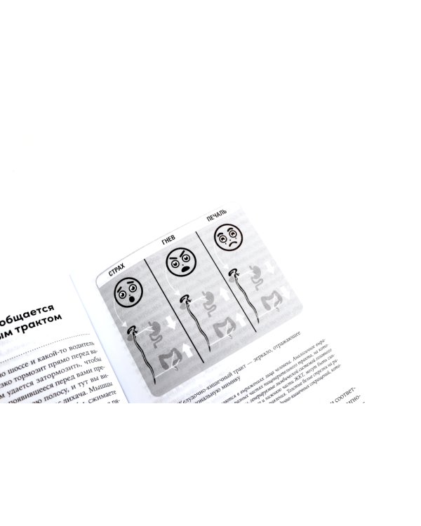 Ешь, двигайся, спи; Пить или не пить; Второй мозг (комплект из 3-х книг о вашем здоровье)