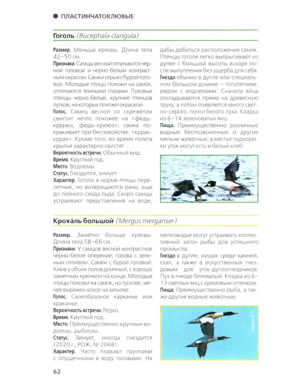 Птицы Северо-Запада; Птицы Москвы и Подмосковья (комплект из 2-х книг)