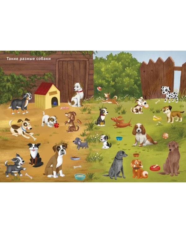 Книга с наклейками и заданиями. Такие разные животные (более 200 наклеек)