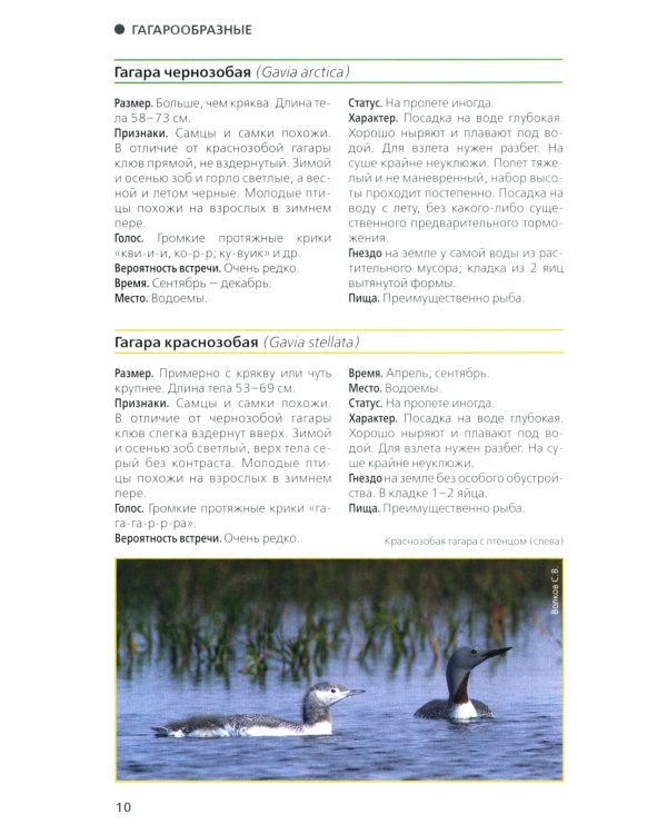 Птицы Северо-Запада; Птицы Москвы и Подмосковья (комплект из 2-х книг)