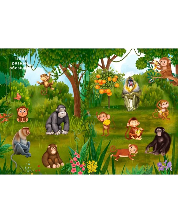 Книга с наклейками и заданиями. Такие разные животные (более 200 наклеек)