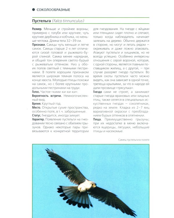 Птицы Северо-Запада; Птицы Москвы и Подмосковья (комплект из 2-х книг)