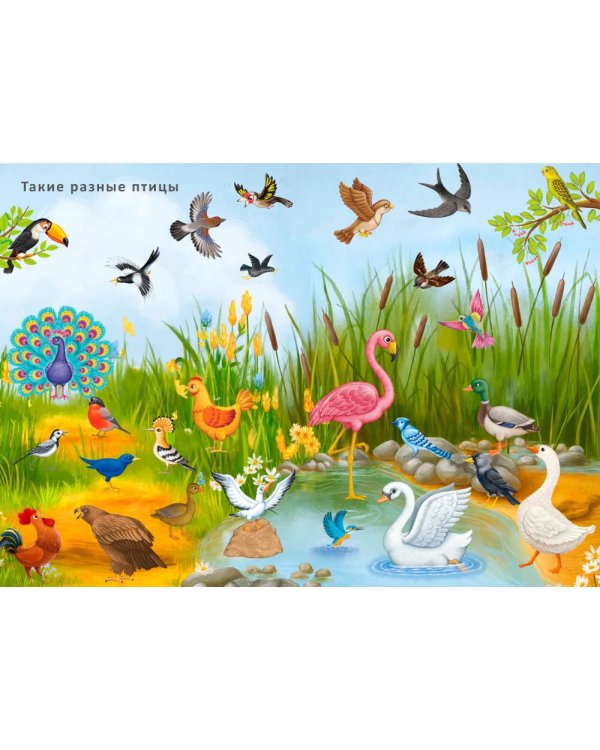 Книга с наклейками и заданиями. Такие разные животные (более 200 наклеек)