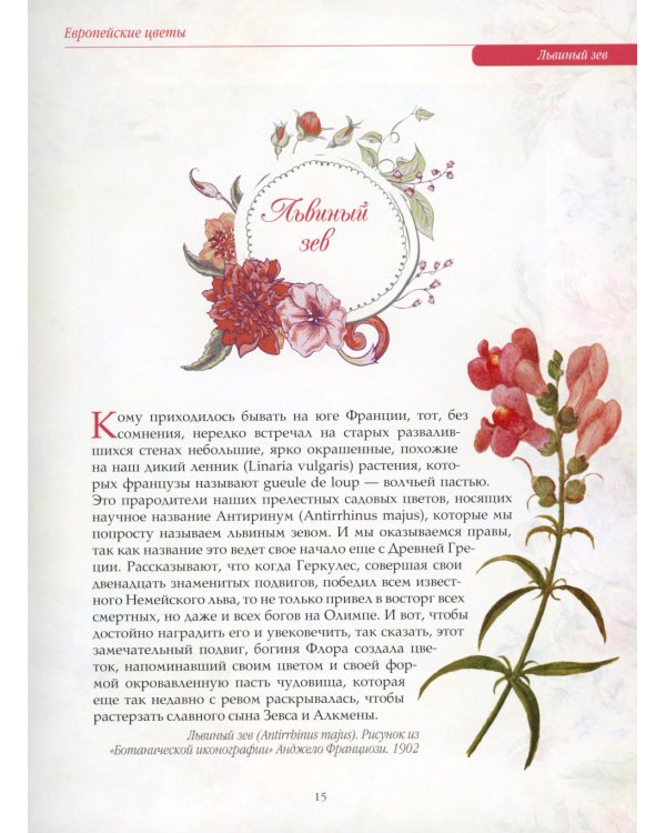 Любимые цветы. Иллюстрированная история