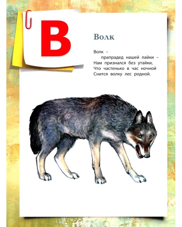 Азбука в картинках