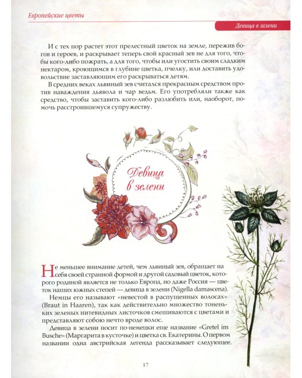 Любимые цветы. Иллюстрированная история