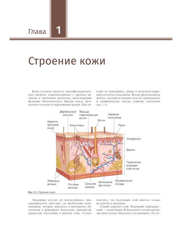 Иллюстрированное руководство по дерматологии. Для подготовки врачей к аккредитации