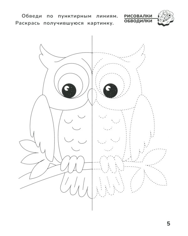 Приключения дошкольника. В лесу: 4-5 лет