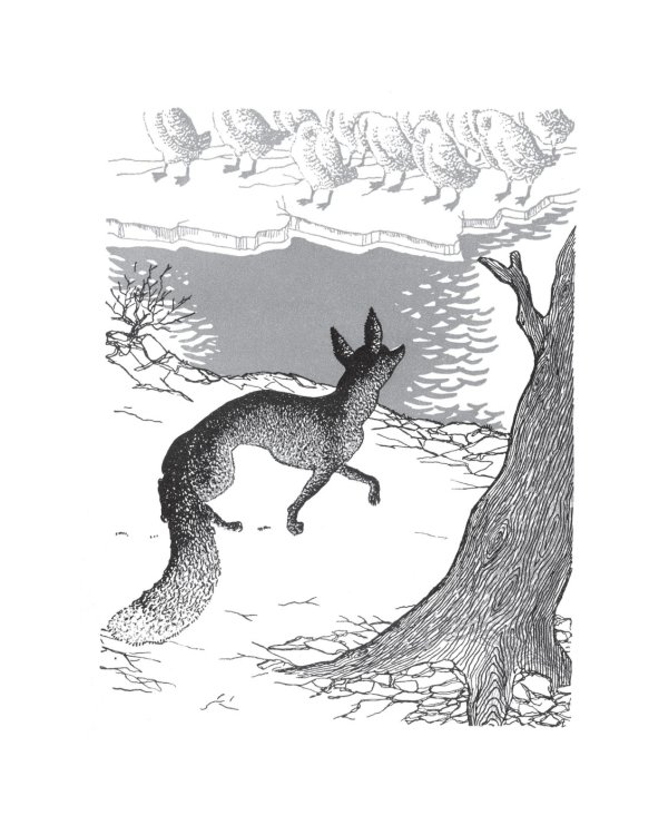 Чудесное путешествие Нильса с дикими гусями