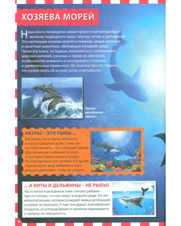 Акулы, киты и дельфины. Популярная детская энциклопедия