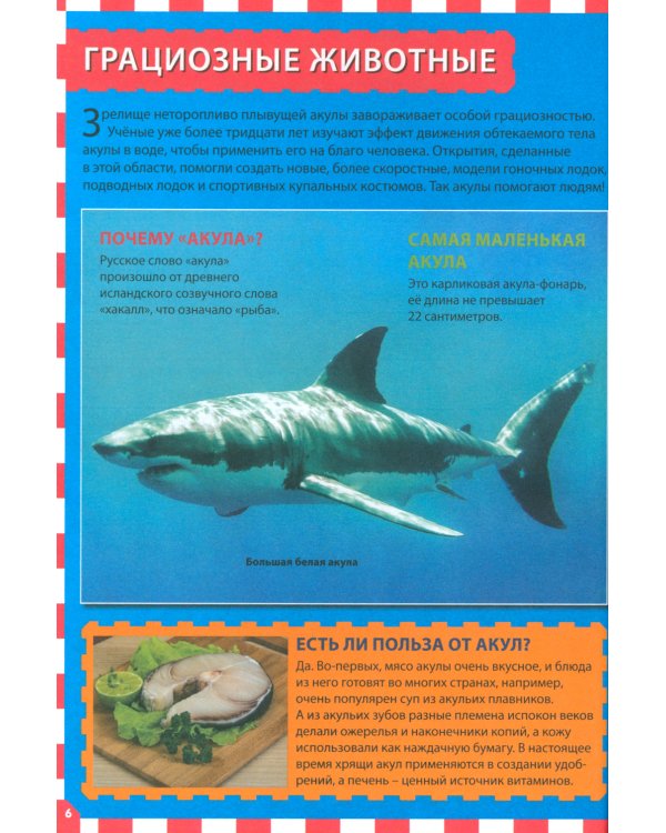 Акулы, киты и дельфины. Популярная детская энциклопедия