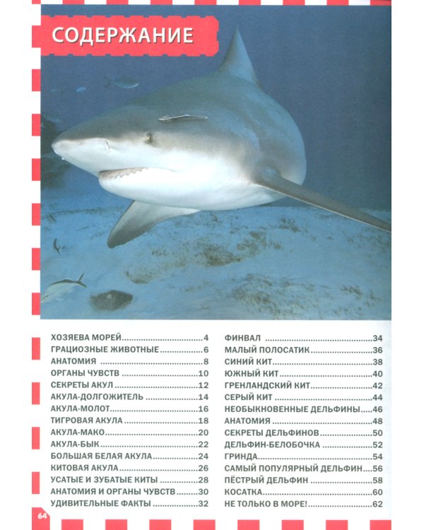 Акулы, киты и дельфины. Популярная детская энциклопедия