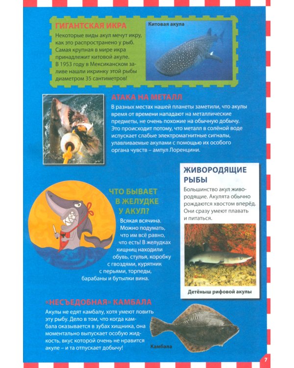 Акулы, киты и дельфины. Популярная детская энциклопедия