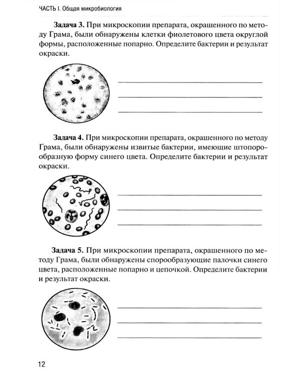 Основы микробиологии и иммунологии: рабочая тетрадь для внеаудиторной работы. 2-е изд. перераб. и доп. (+ брошюра)