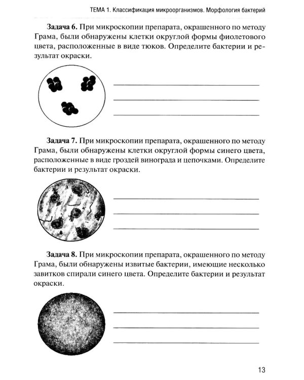 Основы микробиологии и иммунологии: рабочая тетрадь для внеаудиторной работы. 2-е изд. перераб. и доп. (+ брошюра)