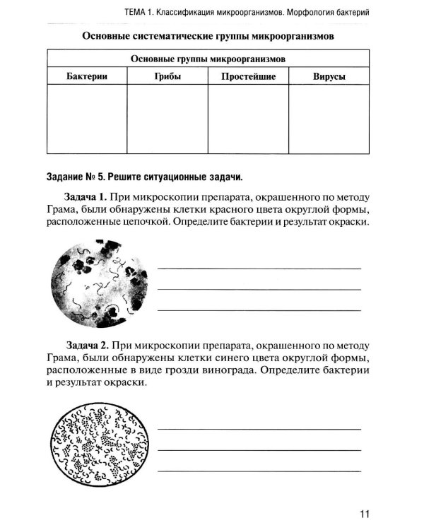 Основы микробиологии и иммунологии: рабочая тетрадь для внеаудиторной работы. 2-е изд. перераб. и доп. (+ брошюра)
