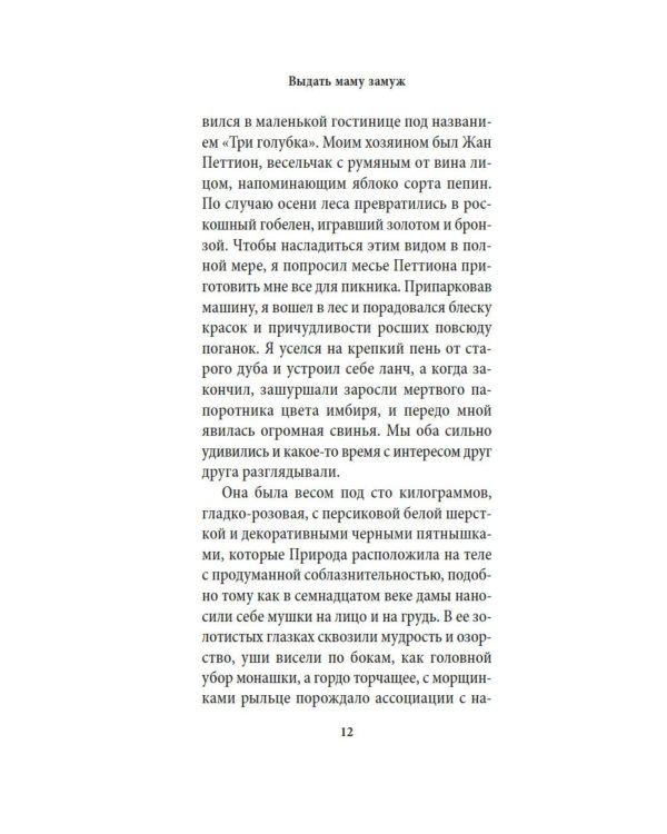 Выдать маму замуж: рассказы