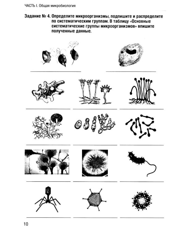 Основы микробиологии и иммунологии: рабочая тетрадь для внеаудиторной работы. 2-е изд. перераб. и доп. (+ брошюра)
