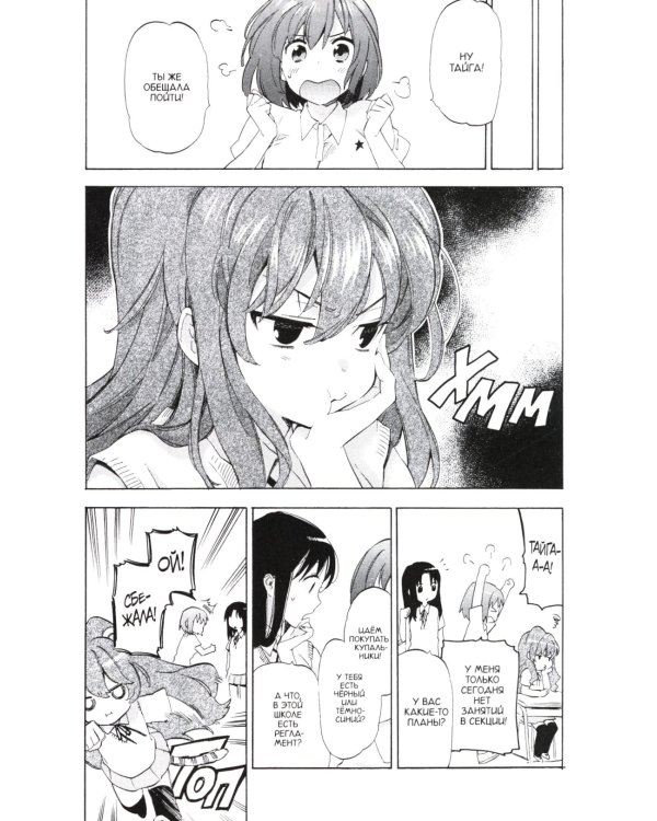 ТораДора. Т. 4