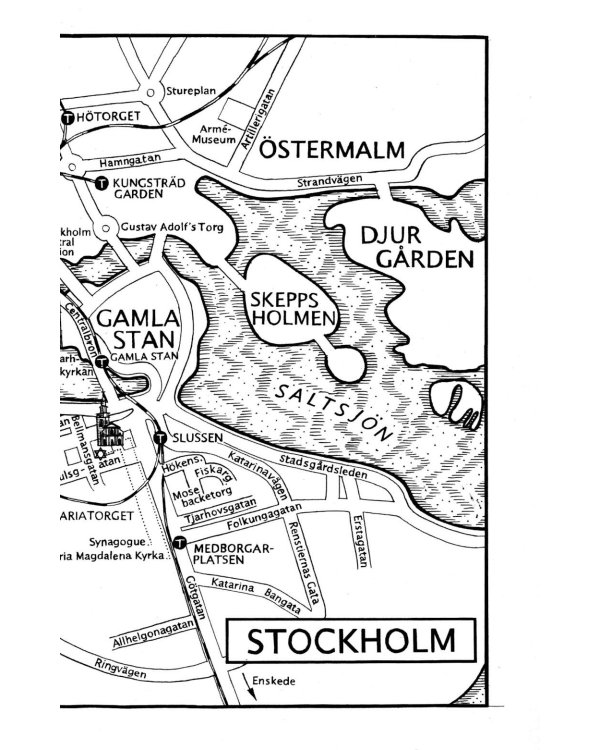 The Girl With The Dragon Tattoo