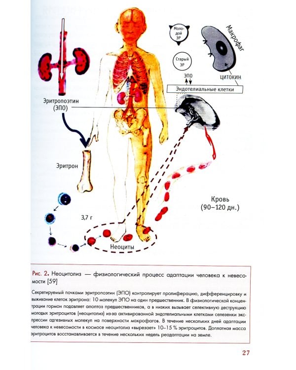 Гиперкоагуляция