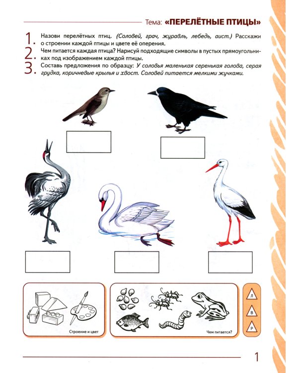 Развиваем связную речь у детей 5-6 (6-7) лет с ОНР. Альбом 2. Мир животных