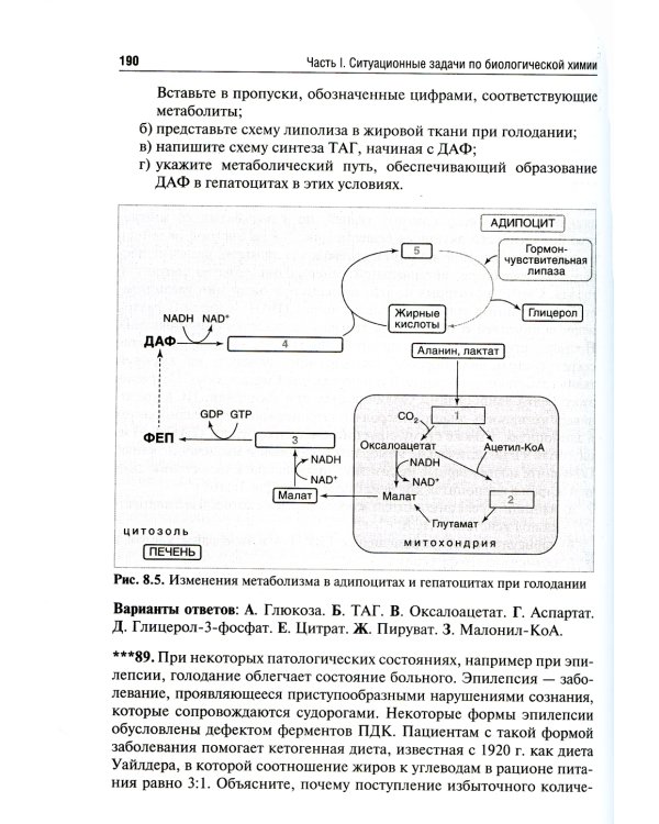 Биологическая химия. Ситуационные задачи и тесты: Учебное пособие