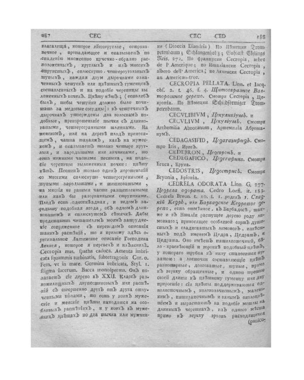 Ботанический подробный словарь, или Травник. Ч. 2 (репринтное изд.)