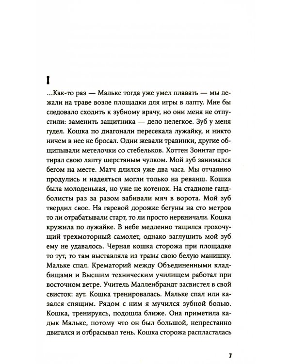 Кошки-мышки: новелла