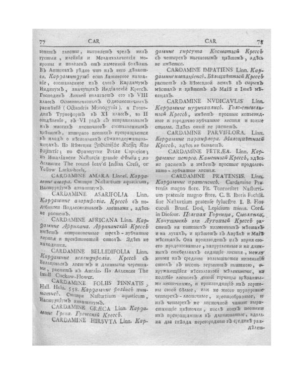 Ботанический подробный словарь, или Травник. Ч. 2 (репринтное изд.)