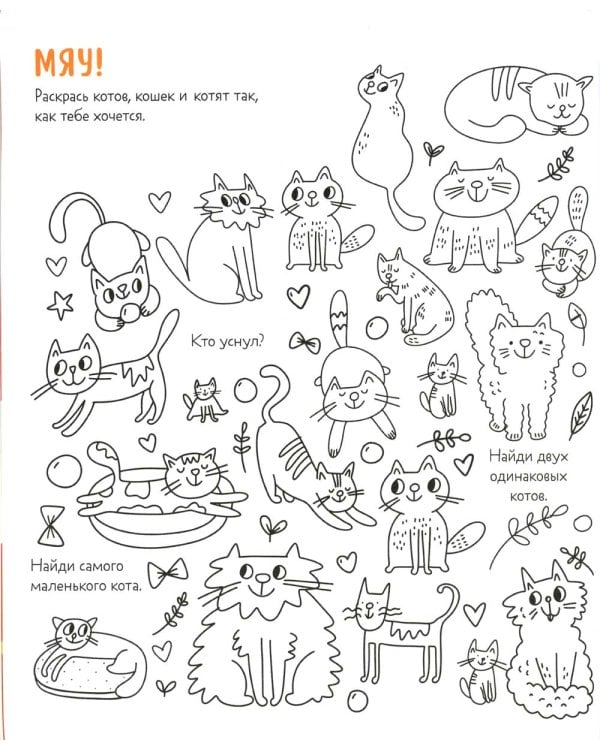 Веселые активити про кошек и котов. 45 заданий