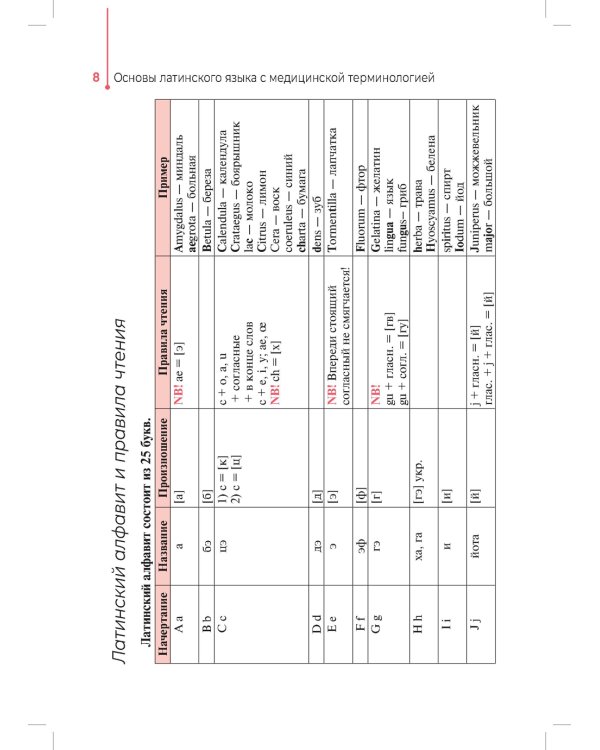 Основы латинского языка с медицинской терминологией: Учебное пособие