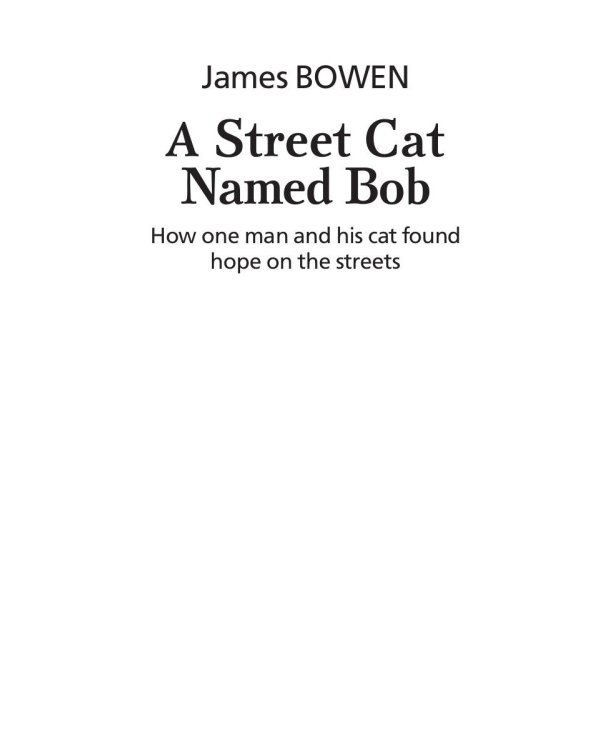 Уличный кот по имени Боб. Как человек и кот обрели надежду на улицах Лондона