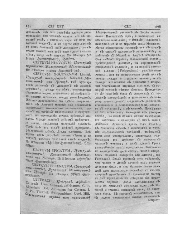 Ботанический подробный словарь, или Травник. Ч. 2 (репринтное изд.)