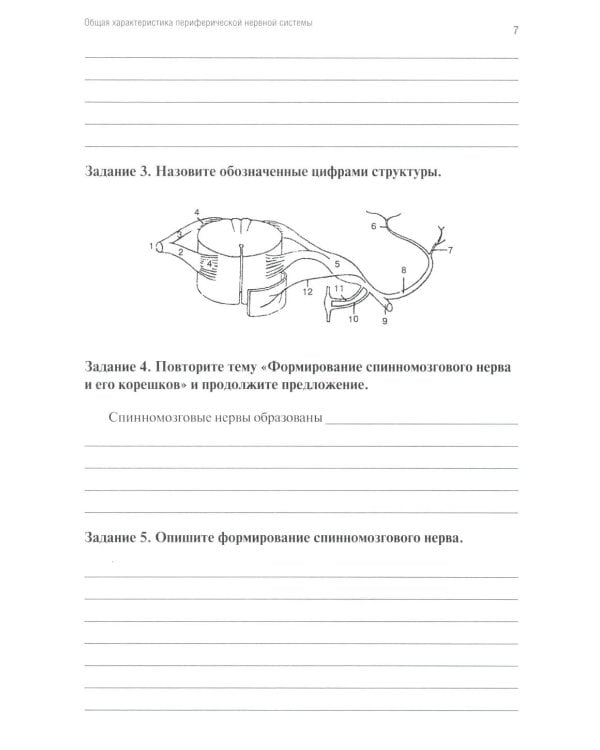 Анатомия человека: Неврология. Ч. 9: Анатомия органов периферической нервной системы. Эстезиология: рабочая тетрадь