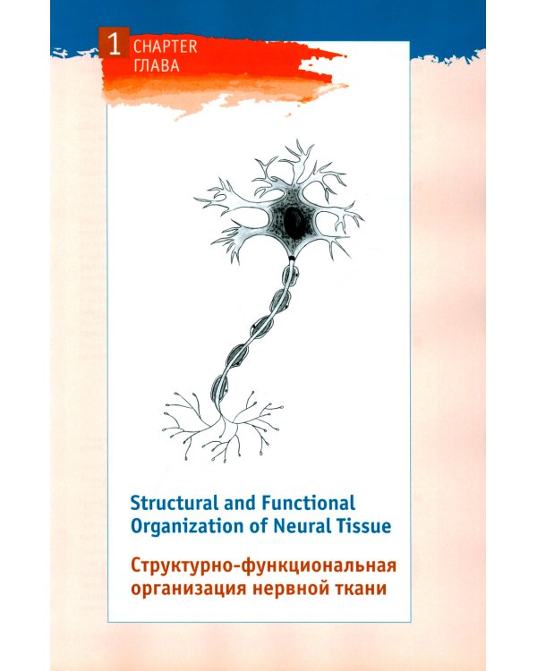 Физиология для "ленивых" студентов: нервно-мышечная физиология. Организация движения: на русс. и англ.яз
