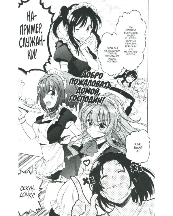 Торадора. Т. 6: манга