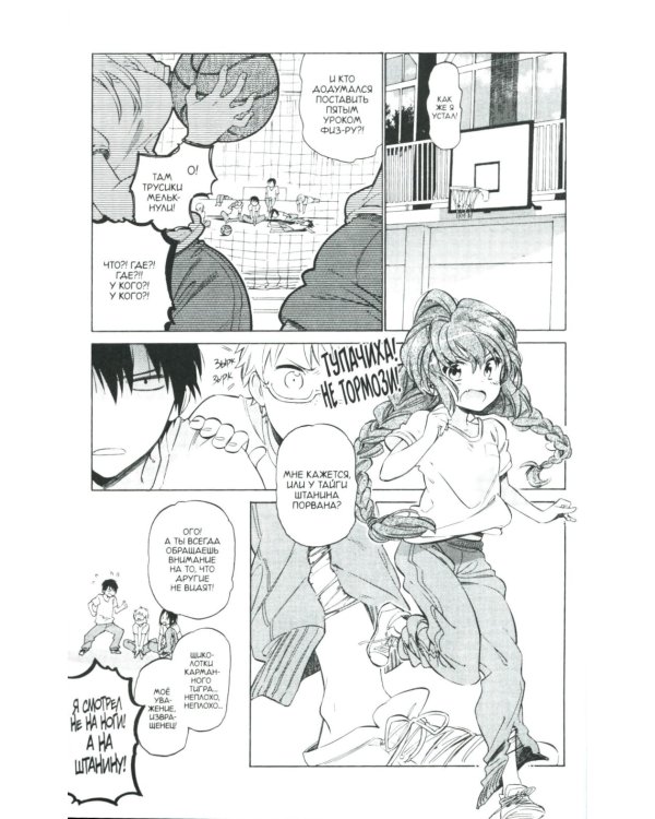 Торадора. Т. 6: манга