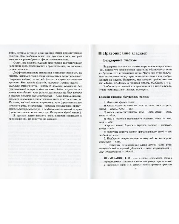 Русский язык. Орфография. Пунктуация. 23-е изд