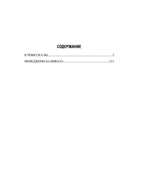 В тени скалы. Менеджеры халифата: романы