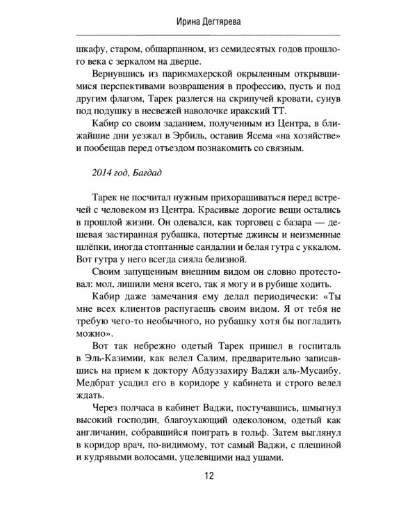 В тени скалы. Менеджеры халифата: романы