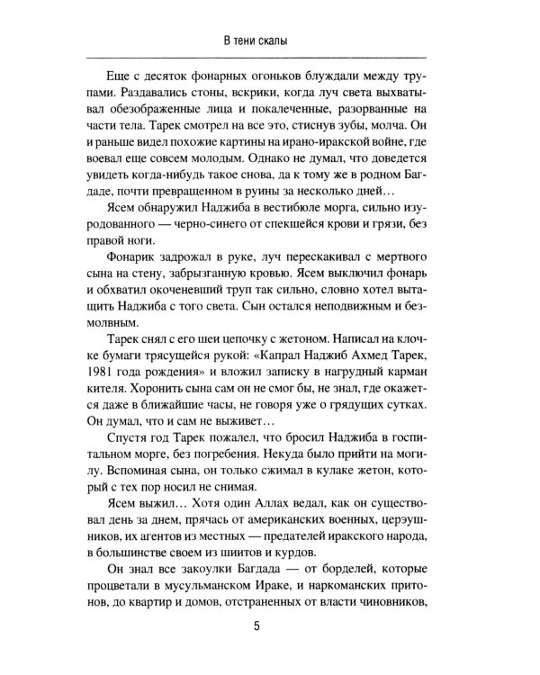 В тени скалы. Менеджеры халифата: романы