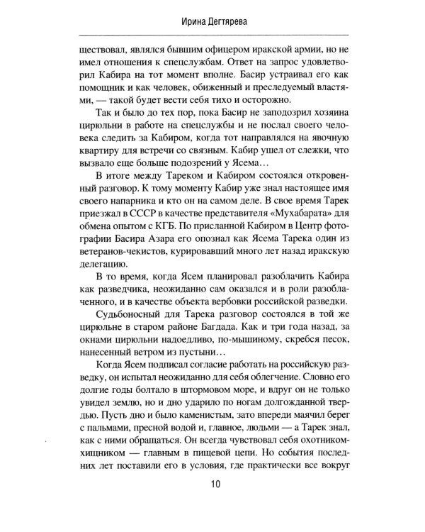 В тени скалы. Менеджеры халифата: романы