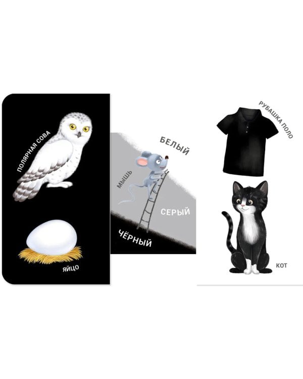 Какой это цвет?