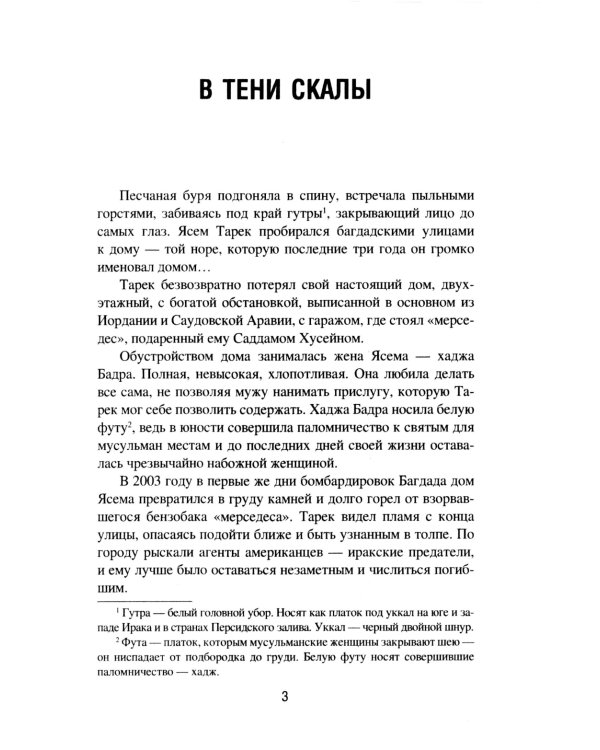 В тени скалы. Менеджеры халифата: романы