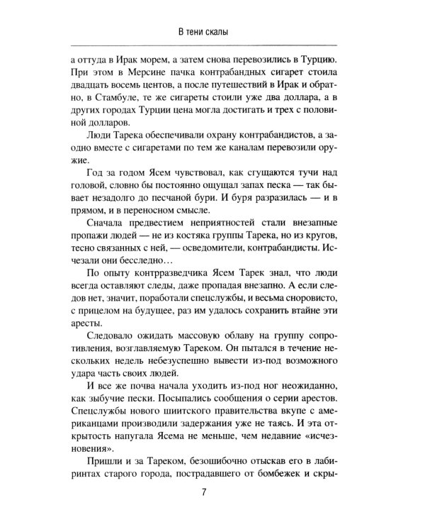 В тени скалы. Менеджеры халифата: романы