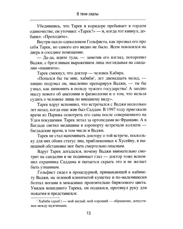 В тени скалы. Менеджеры халифата: романы