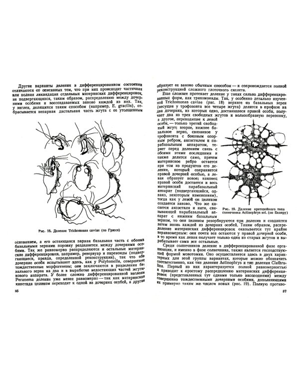 Сравнительная эмбриология низших беспозвоночных: Источники и пути формирования индивидуального развития многоклеточных: Учебное пособие. 2-е изд